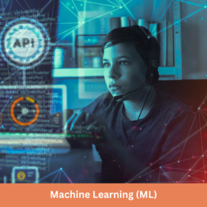 Machine Learning (ML)